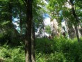 /album/svp1/svp-030-jpg/