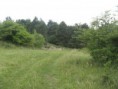 /album/svp-2-den/svp2-026-jpg/