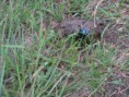 /album/svp-2-den/svp2-027-jpg/